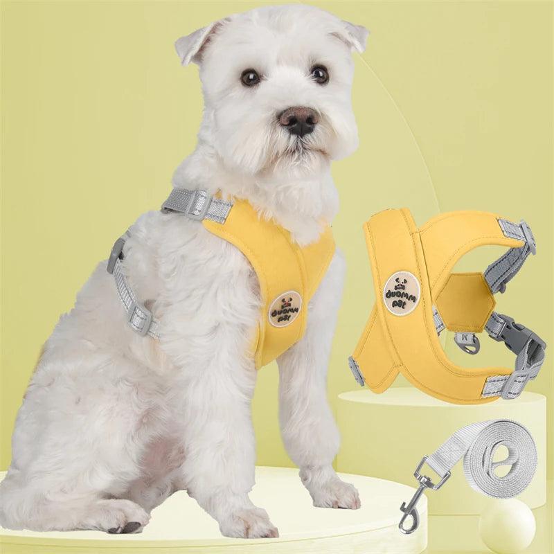 Conjunto Premium de coleira em X para Cães - Duomm Pet