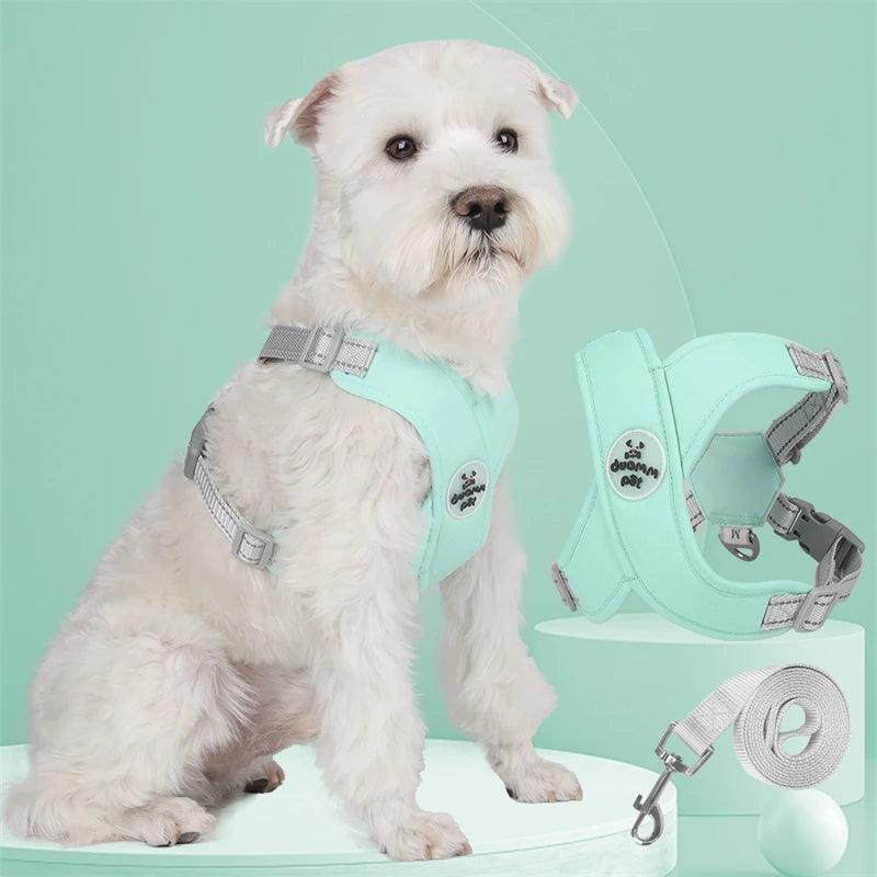 Conjunto Premium de coleira em X para Cães - Duomm Pet